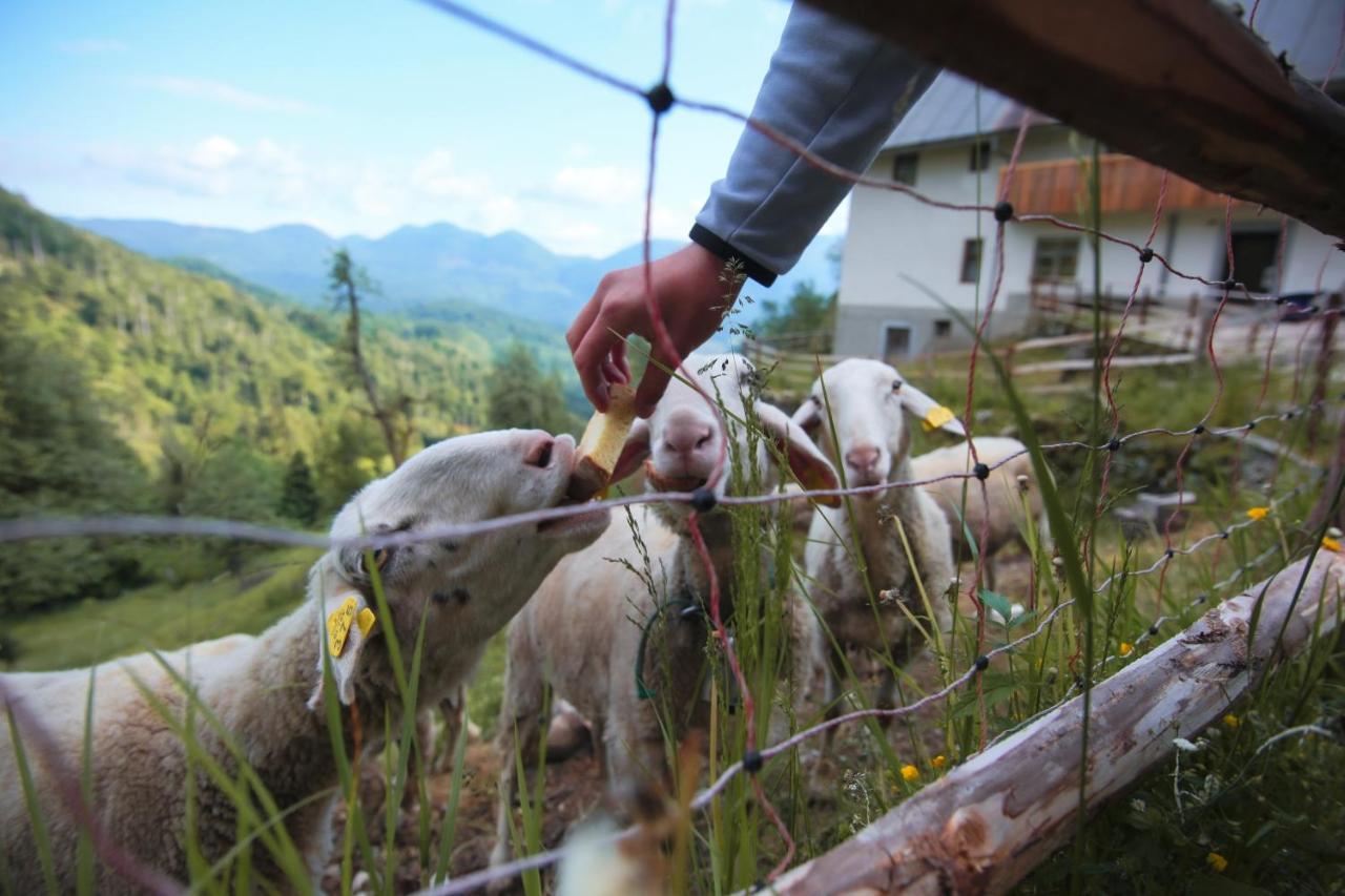 Apartma Gorski Razgled Srednja Vas v Bohinju Esterno foto