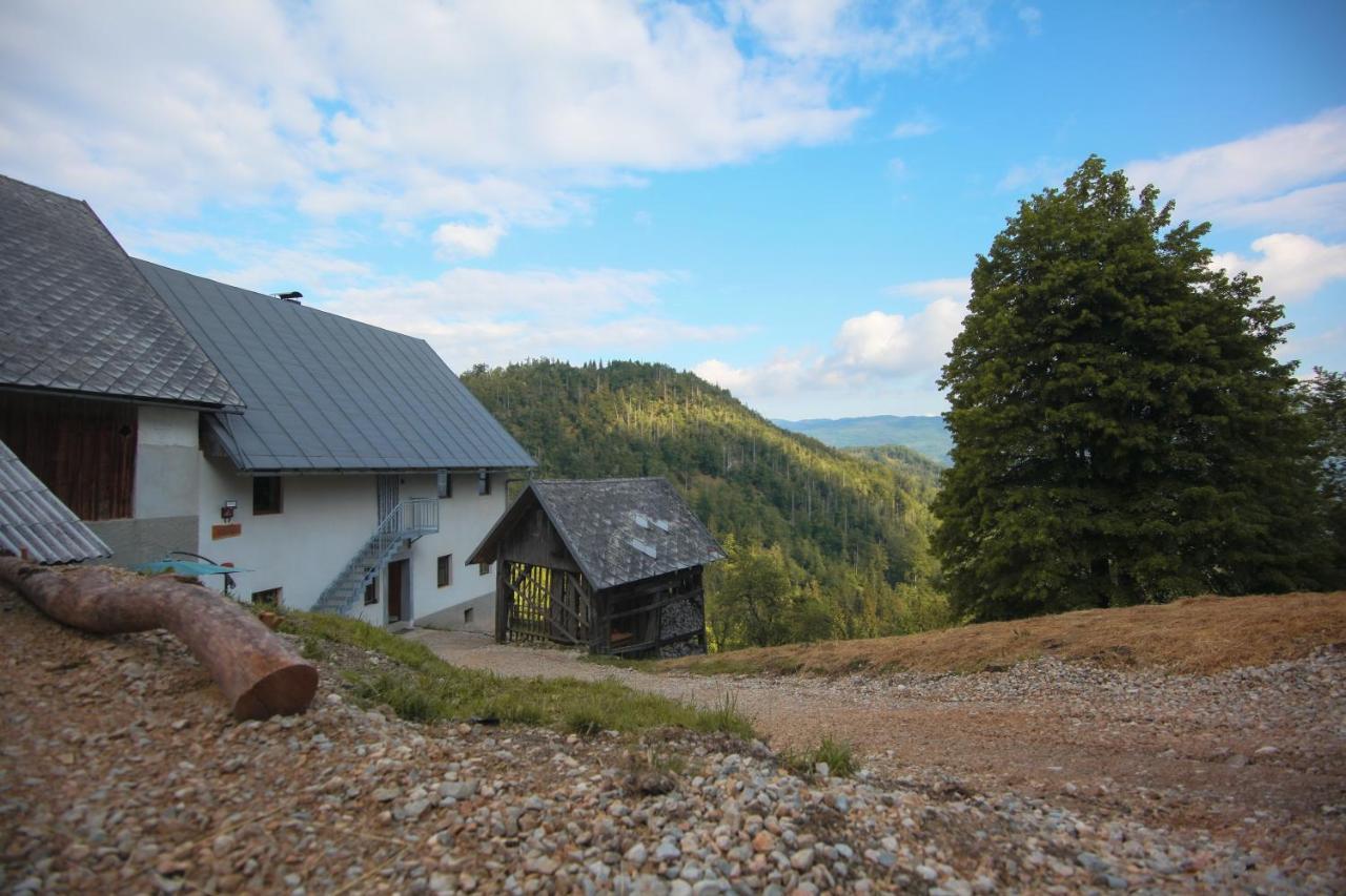 Apartma Gorski Razgled Srednja Vas v Bohinju Esterno foto