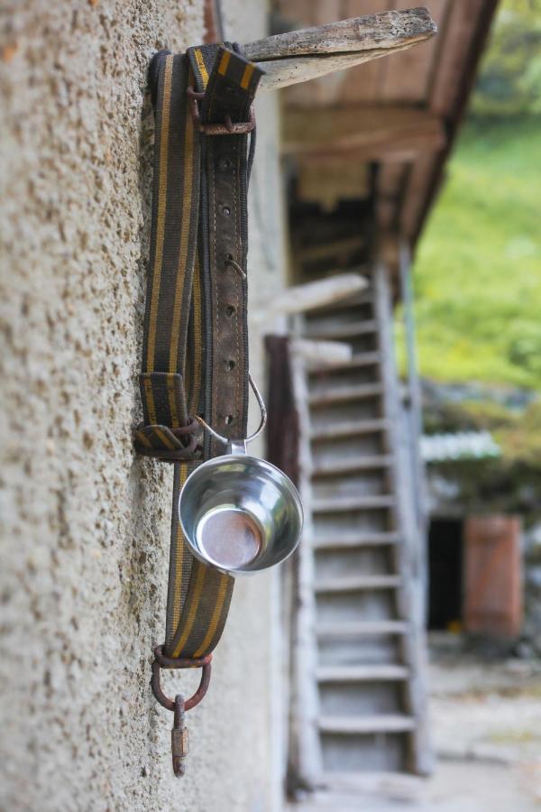 Apartma Gorski Razgled Srednja Vas v Bohinju Esterno foto