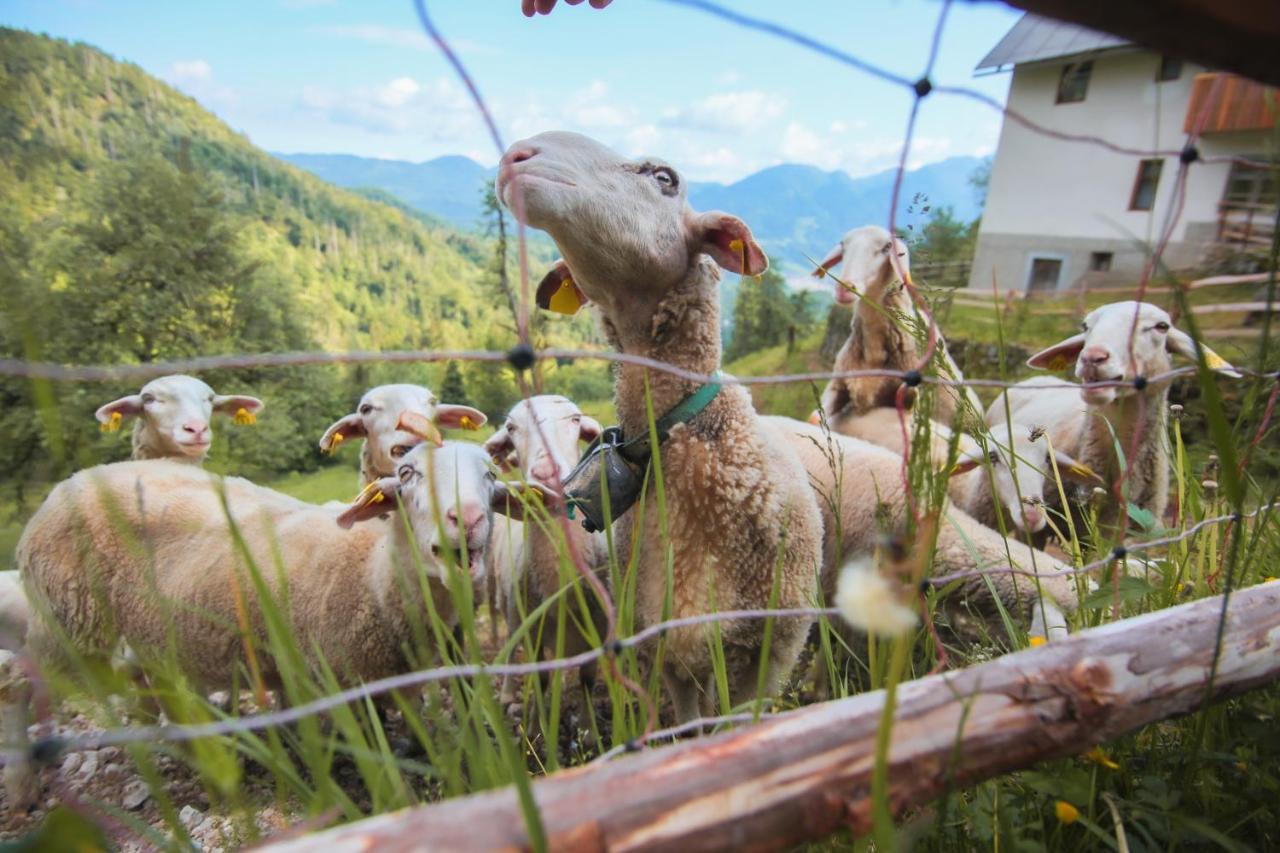 Apartma Gorski Razgled Srednja Vas v Bohinju Esterno foto