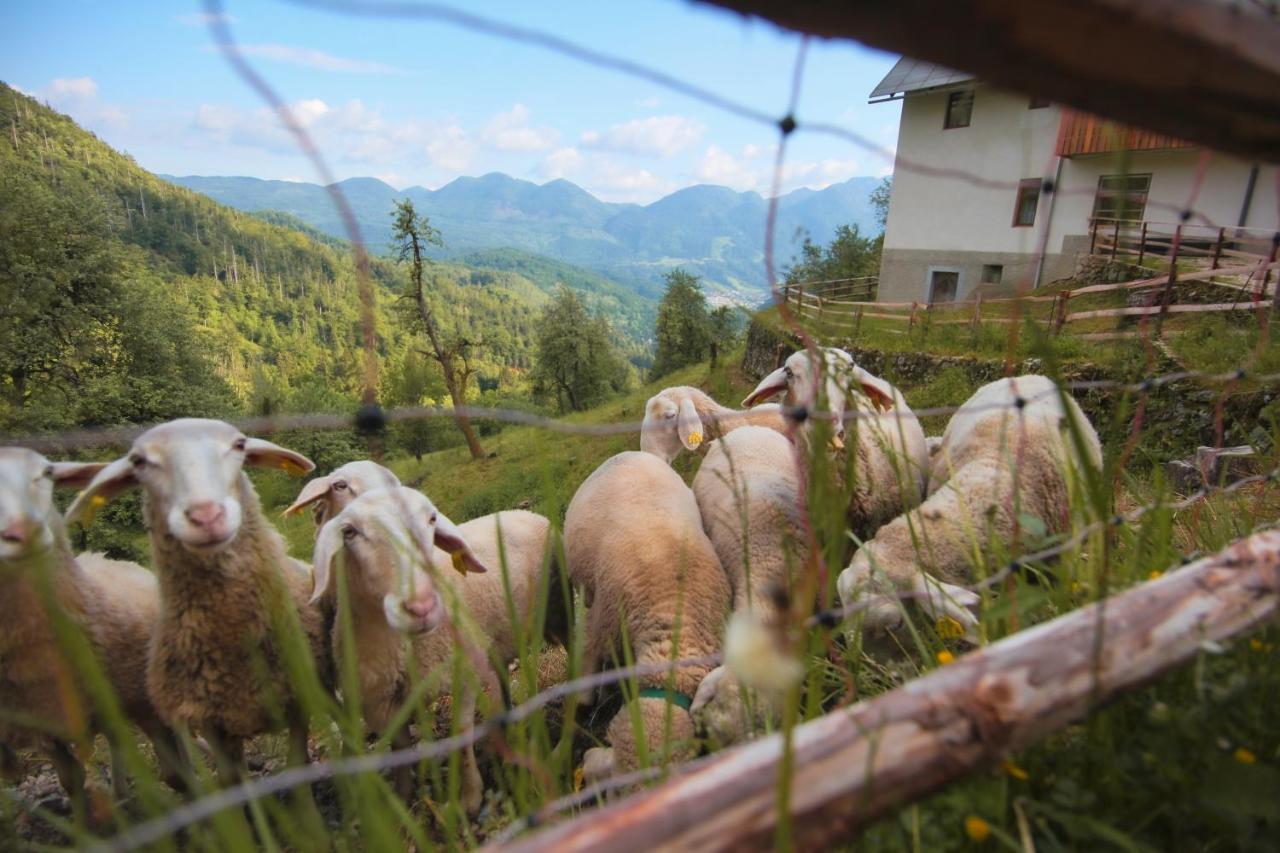 Apartma Gorski Razgled Srednja Vas v Bohinju Esterno foto