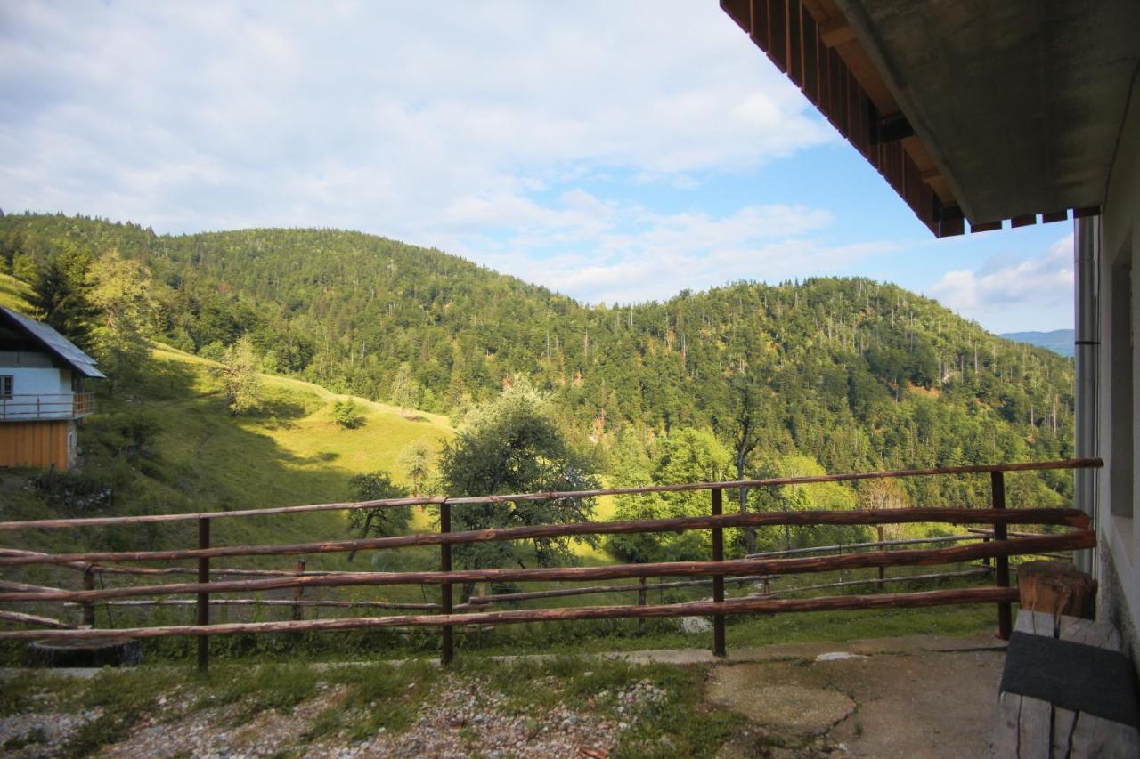 Apartma Gorski Razgled Srednja Vas v Bohinju Esterno foto